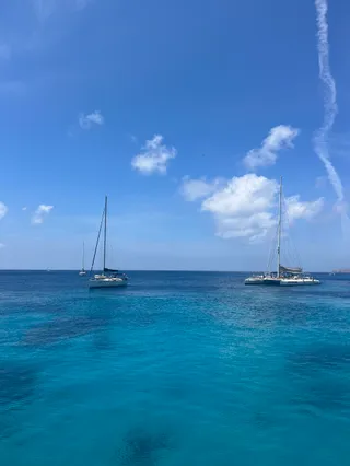 Zura Malta Party