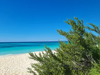 Playa Bahia de Las Aguilas
