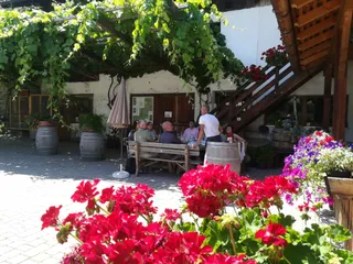Tenuta vini e locanda agricola - Villscheider