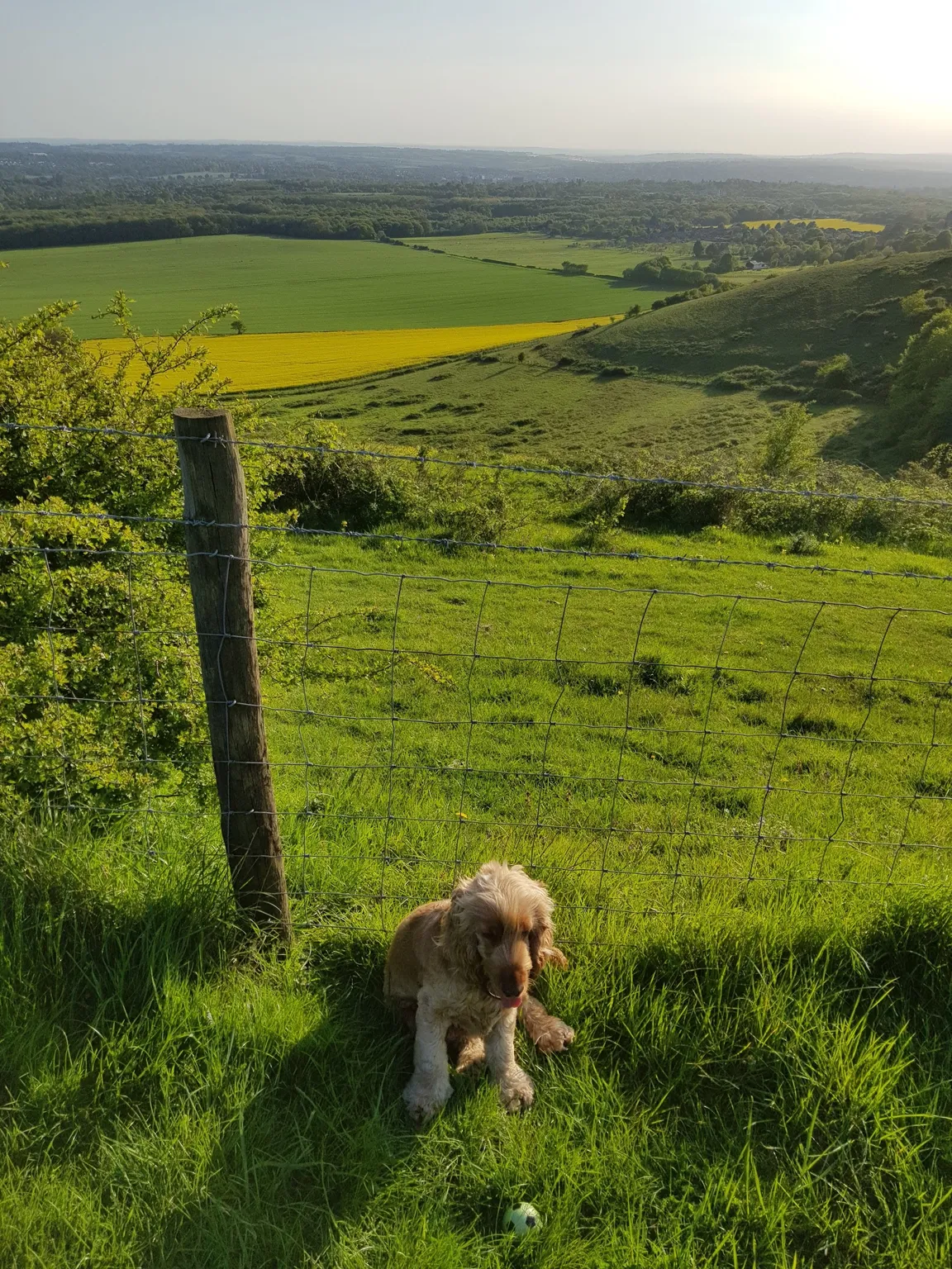 White Horse Wood Country Park