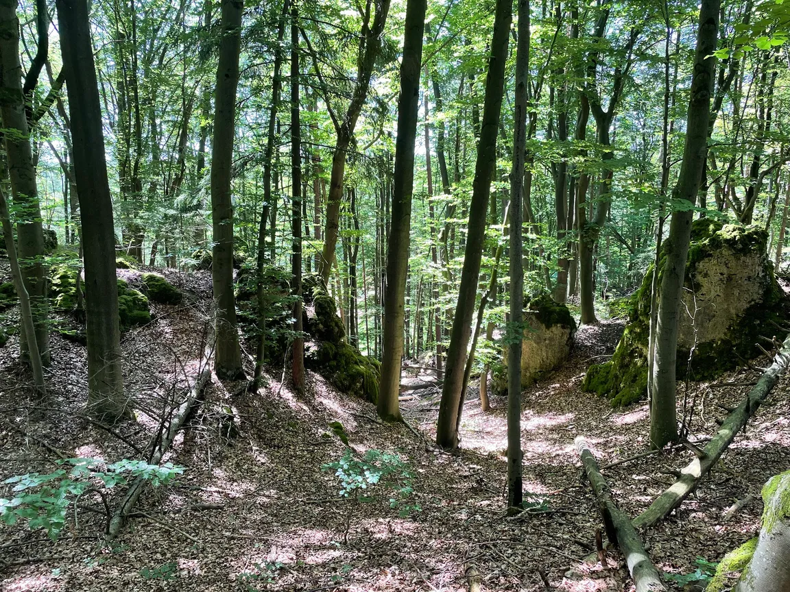 Walli-Maus-Weg Erlebniswanderung