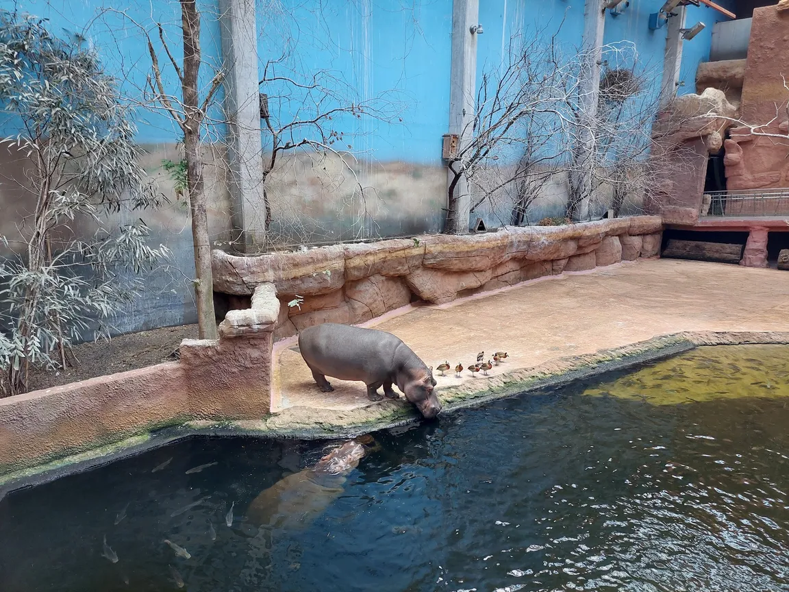 ZOO Wrocław sp.z o.o.
