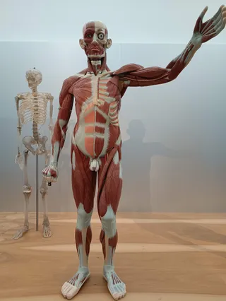 Muzeum higieny
