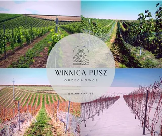 Winnica Pusz