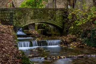Kearsney Abbey Gardens