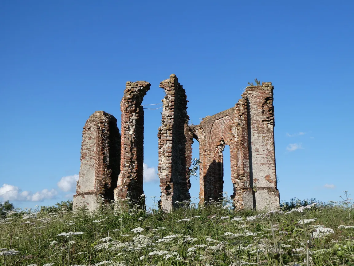 National Trust - Harting Down