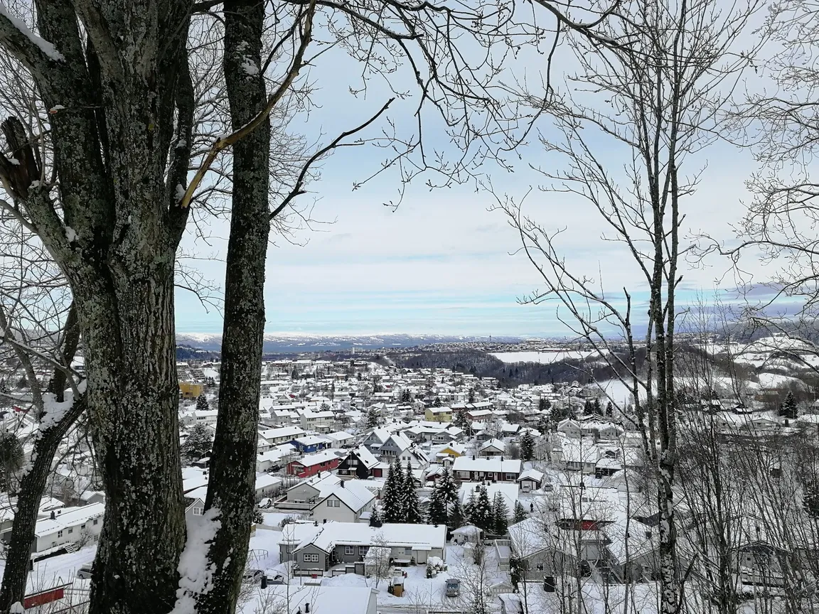 The View Of Trondheim