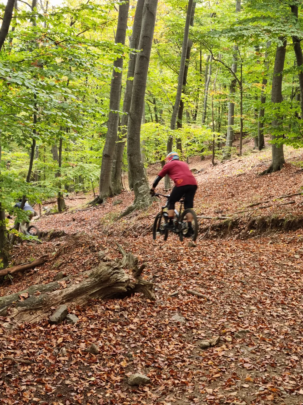 Bike Park Pohorje Maribor