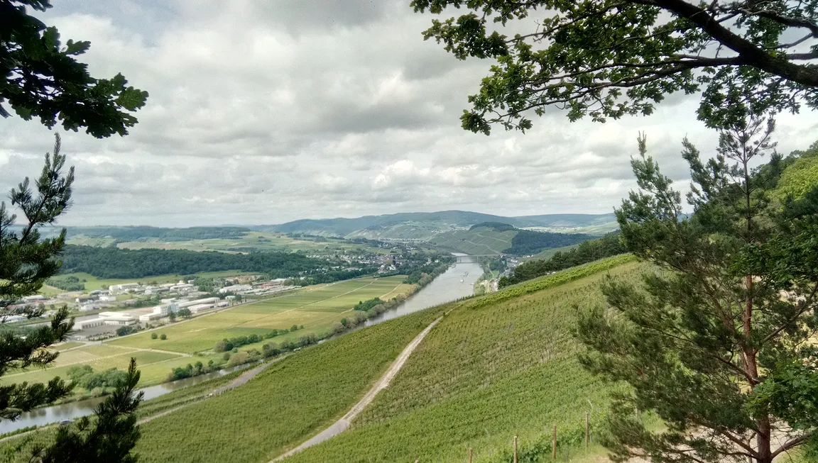 Walderlebnispfad Lieser
