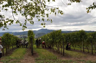 HIRUZTA BODEGA (Wine Shop)