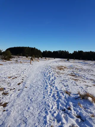 Südliche Fröttmaninger Heide