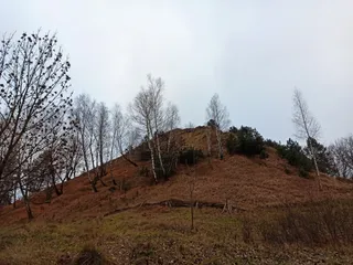 Lion Hill (Bald Hill)