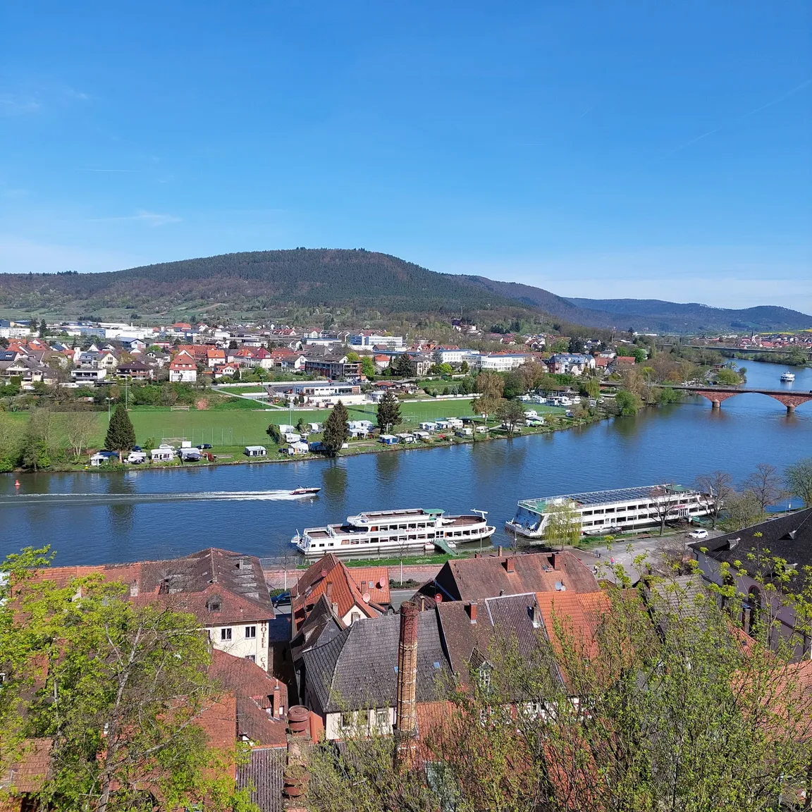 Miltenberg am Main