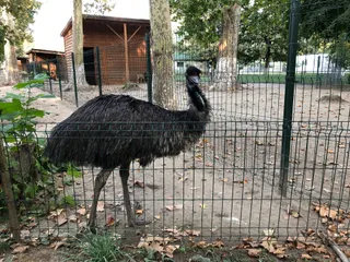 Zoo Park Craiova