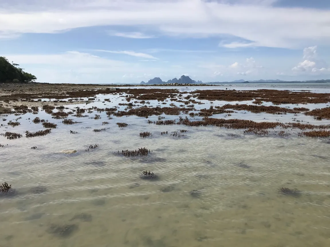 Lo Dung Beach