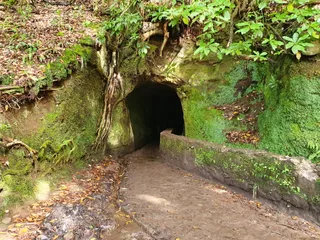 PR9 Levada do Caldeirão Verde