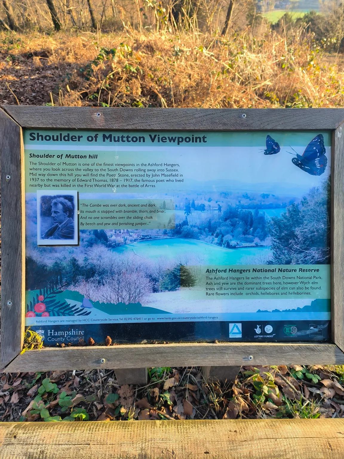 Ashford Hangers National Nature Reserve