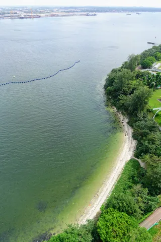 Northshore Beach