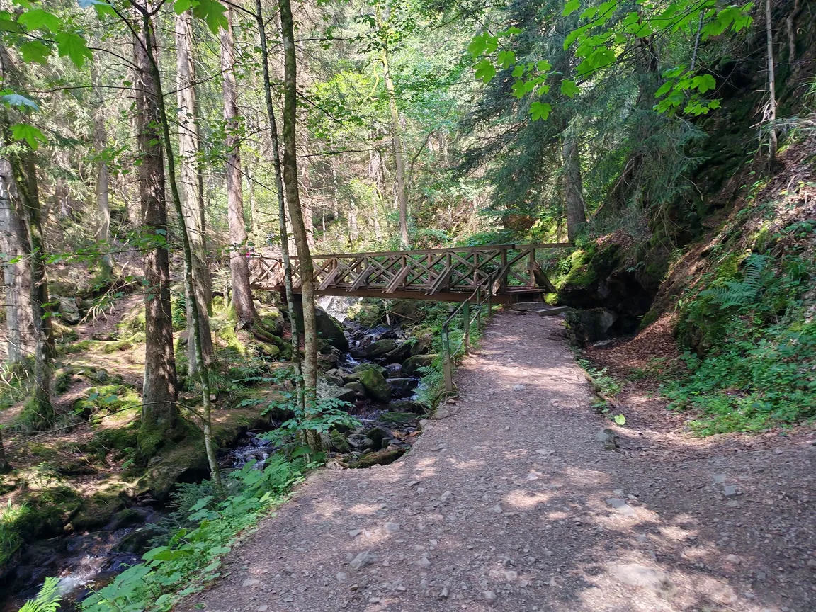 Ravenna Gorge