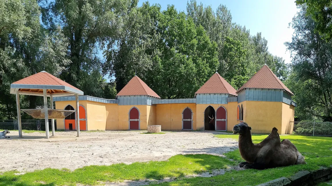 Drimborner Wäldchen