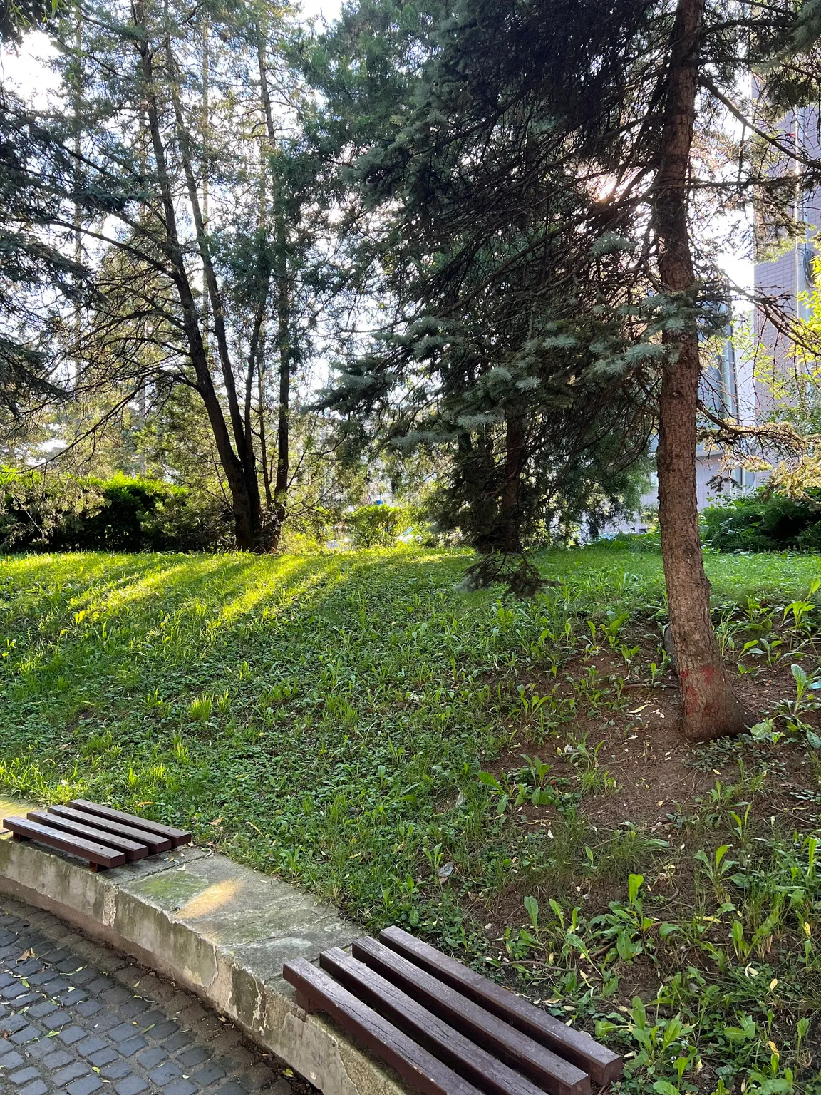 Parc Casa de Cultură