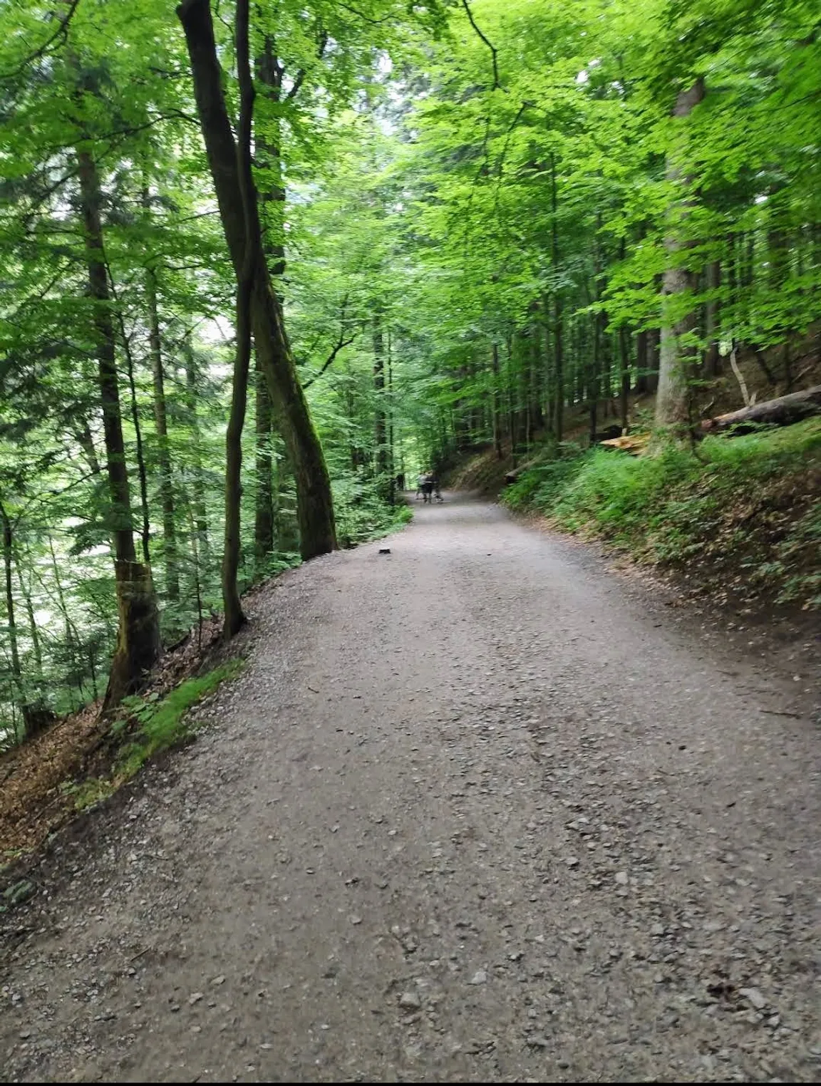 Ścieżka pieszo-rowerowa Przełomem Dunajca (Szczawnica - Czerwony Klasztor)