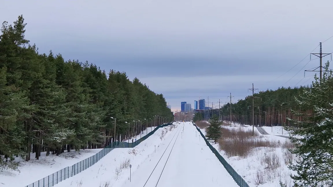 Järve mets
