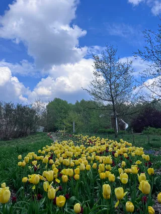 Park Przy Bażantarni