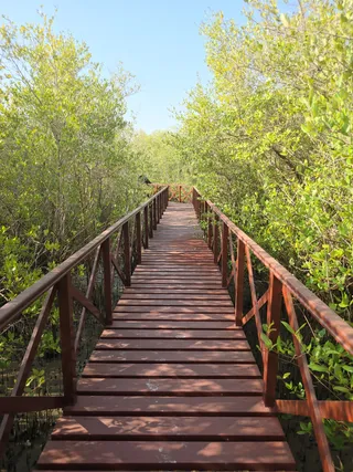 Qurum Natural Reserve