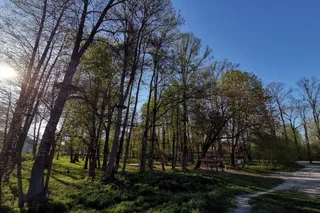 Park Linowy Zwierzyniec
