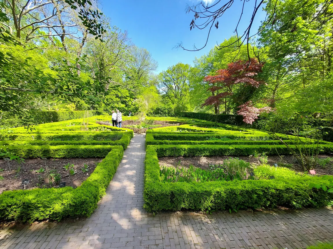 Ogród Botaniczny Uniwersytetu Warszawskiego