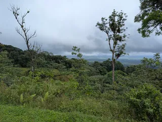 Chato Volcano Trailhead