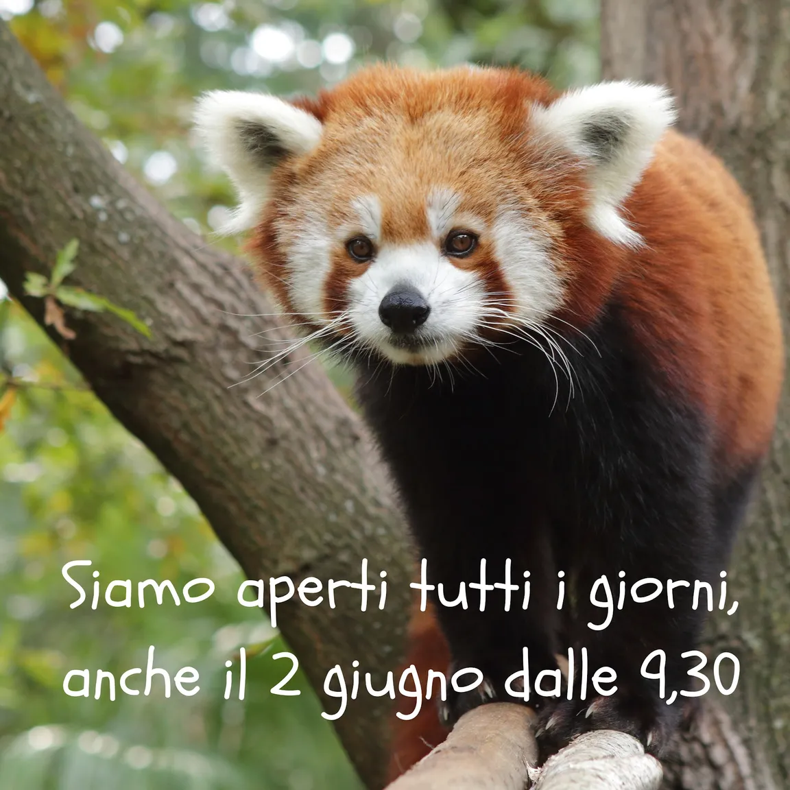 Zoo of Pistoia