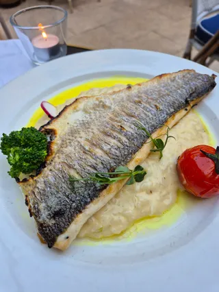 Flow Restaurant & Bar