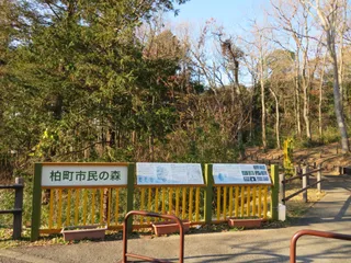 Kashiwacho Shimin no mori