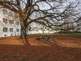 Białe Miasto