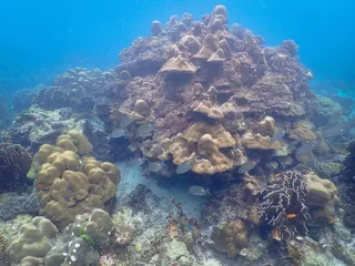 Opal Travel Koh lanta