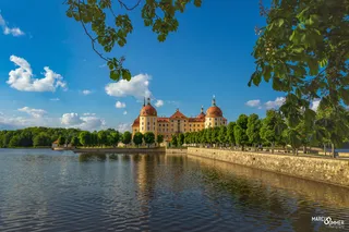 Pałac Moritzburg