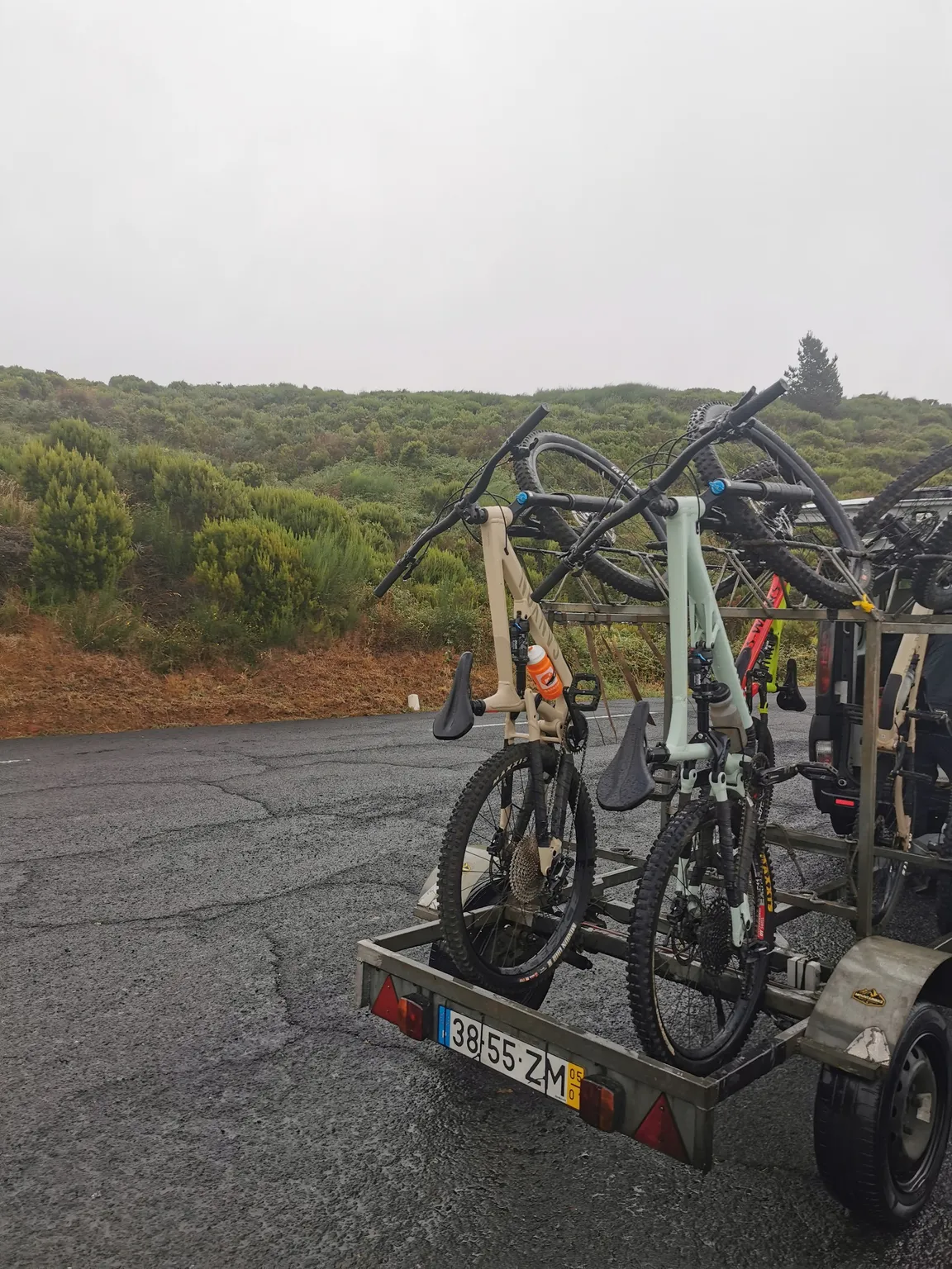 Radwall Mountain Bike Madeira - Shuttle, Tours and Bike Holidays
