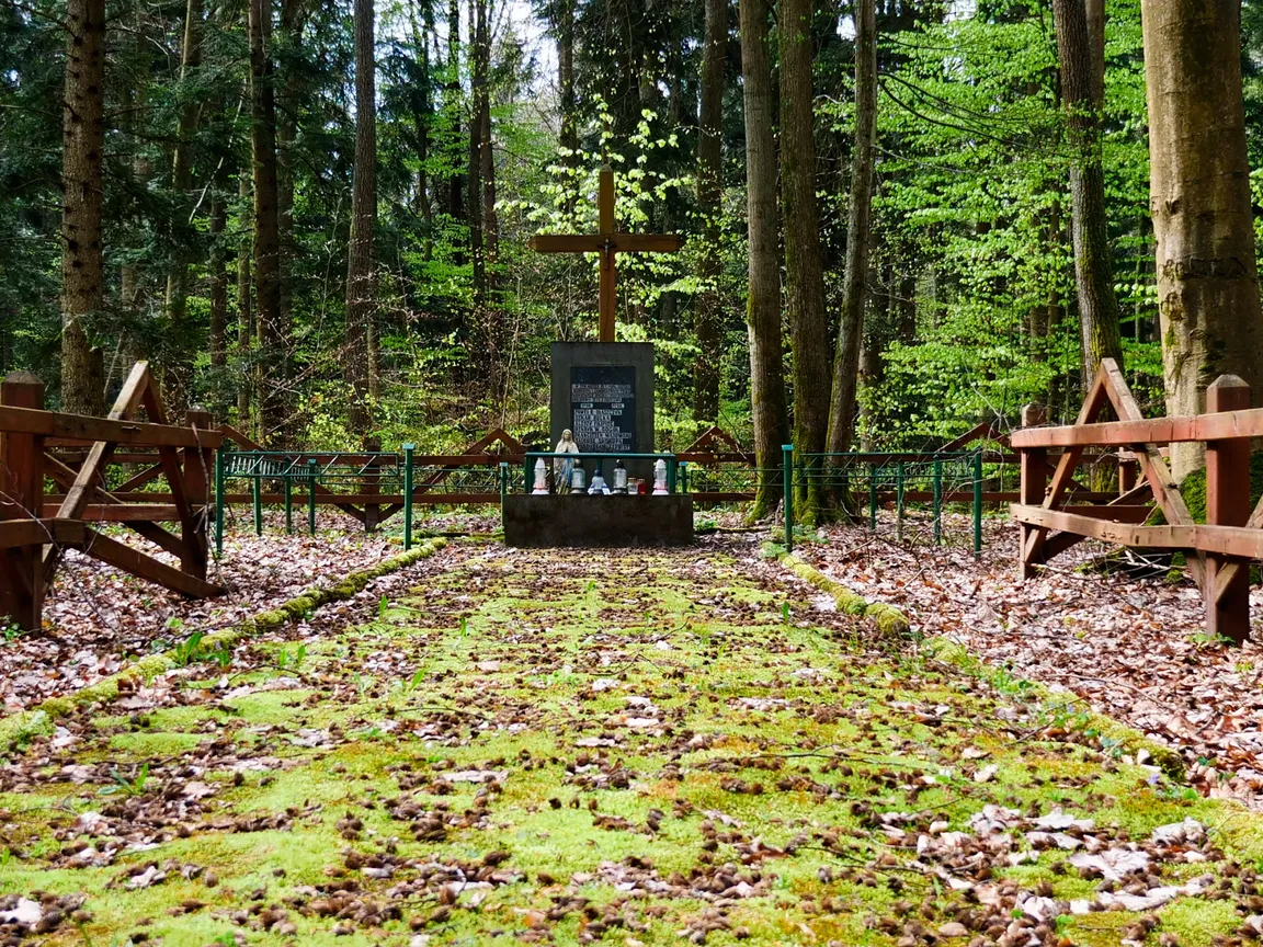 Rezerwat przyrody Zarośle