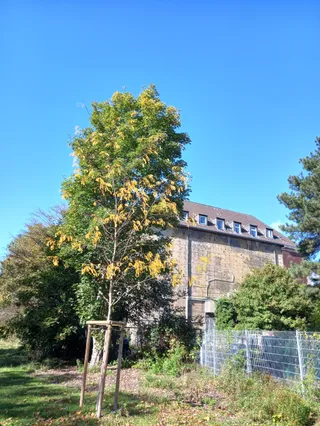 Sportpark am Bunker