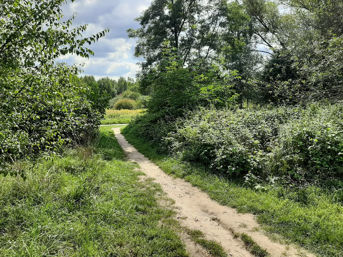 Skałki Twardowskiego w Krakowie