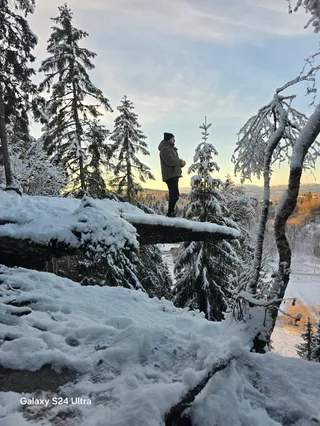 Burmaklippen