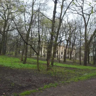 Pałac Ślubów - Sala reprezentacyjna w Pałacu Schoena