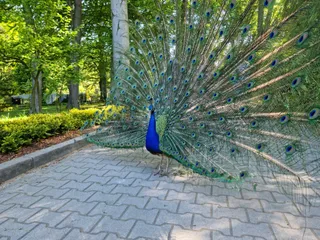 Ogród Zoologiczny w Krakowie