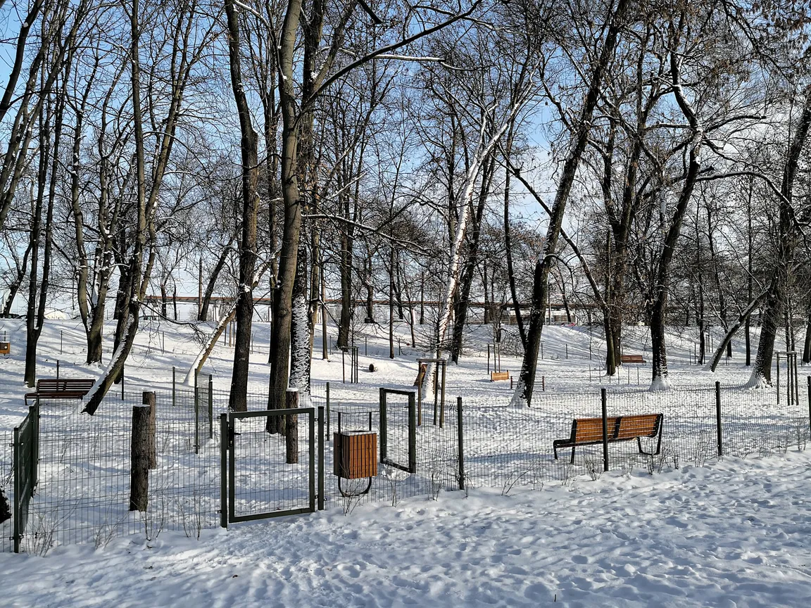 Wybieg dla psów