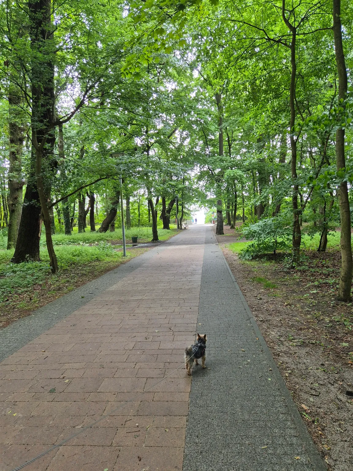 Park im. Stefana Żeromskiego