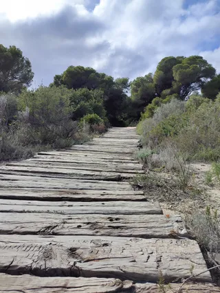 La Malladeta