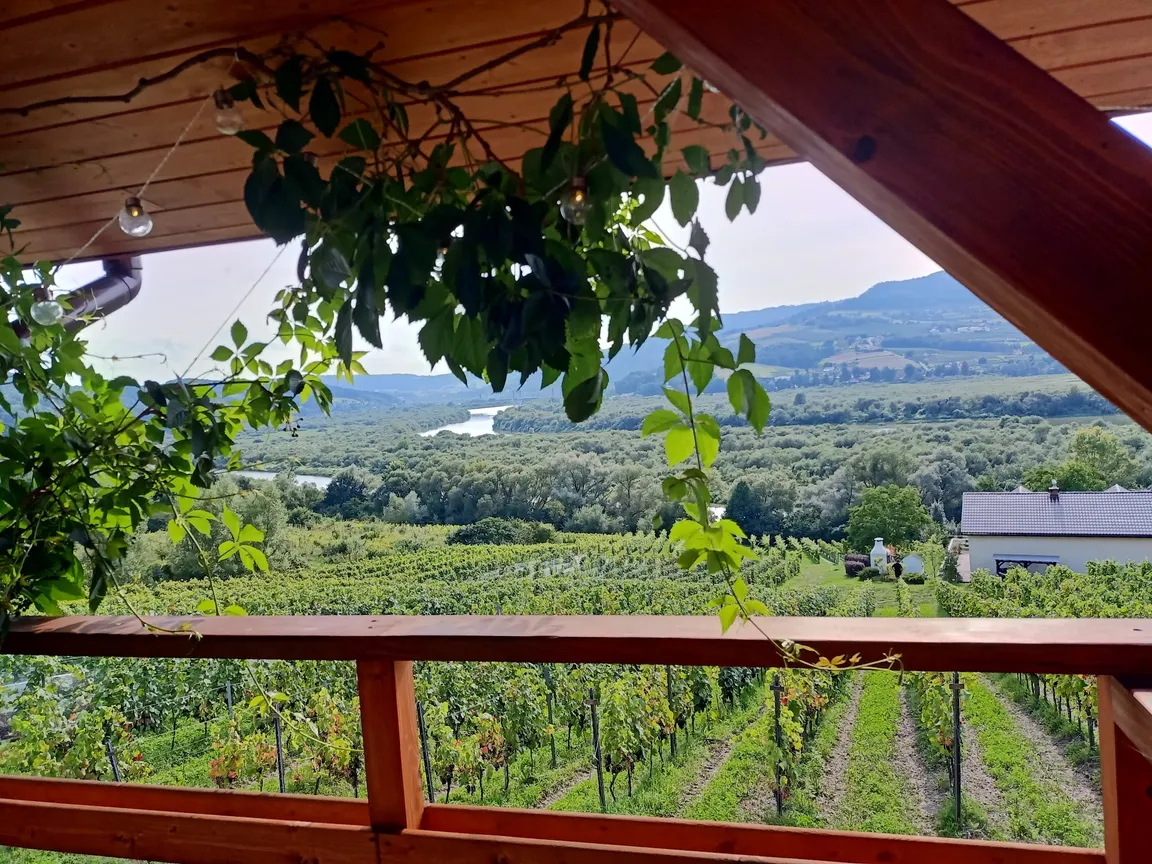 Winnica Gródek