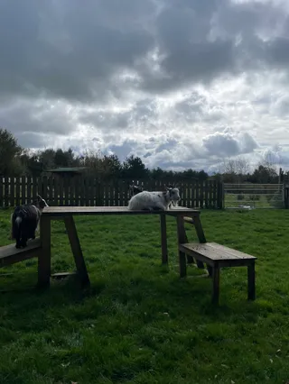 GreenWood Family Park